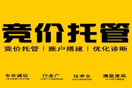 百度SEM竞价推广实战技巧，案例分享成功之道